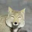 ばなーなのプロフィール画像