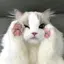 つうのプロフィール画像