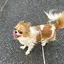 ma.のプロフィール画像
