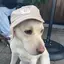 kanaeのプロフィール画像