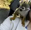 🐿️のプロフィール画像