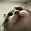 Benのプロフィール画像