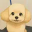 あいりのプロフィール画像