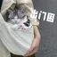 カキのプロフィール画像