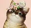 Tomokoのプロフィール画像