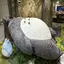 さあやあのプロフィール画像