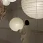 万季のプロフィール画像