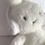 おもちちゃんのプロフィール画像
