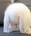 ひみのプロフィール画像