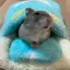 ハンバーグ。のプロフィール画像