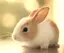 ウサギのプロフィール画像