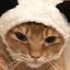 yuriaのプロフィール画像
