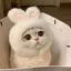 れんのプロフィール画像