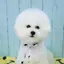 ひぃのプロフィール画像