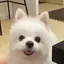 もこのプロフィール画像