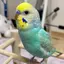 みなみのプロフィール画像