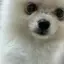 ゆいのプロフィール画像