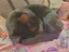 あずさのプロフィール画像