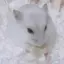 悠稀のプロフィール画像