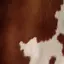 みゆのプロフィール画像