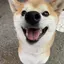ゆぽんのプロフィール画像