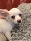 ゆいのプロフィール画像