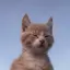 キラのプロフィール画像