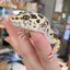 ふふふのプロフィール画像