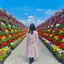 なーのプロフィール画像