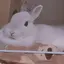 ゆきのプロフィール画像