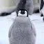 haruのプロフィール画像
