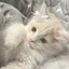 yのプロフィール画像