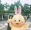 なつこのプロフィール画像