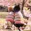 ちーのプロフィール画像