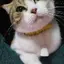 アツシのプロフィール画像