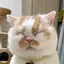 ナナのプロフィール画像