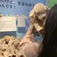 トのプロフィール画像