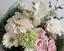 あのプロフィール画像