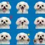 杏のプロフィール画像