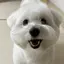 おとめのプロフィール画像
