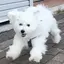 ゆらのプロフィール画像