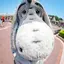 智也のプロフィール画像