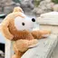 ちーのプロフィール画像