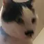 nnmのプロフィール画像