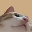 Kのプロフィール画像