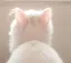 𝓃のプロフィール画像
