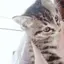 ゆこのプロフィール画像