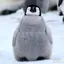りーあのプロフィール画像