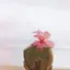 aayのプロフィール画像