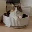 みりのプロフィール画像